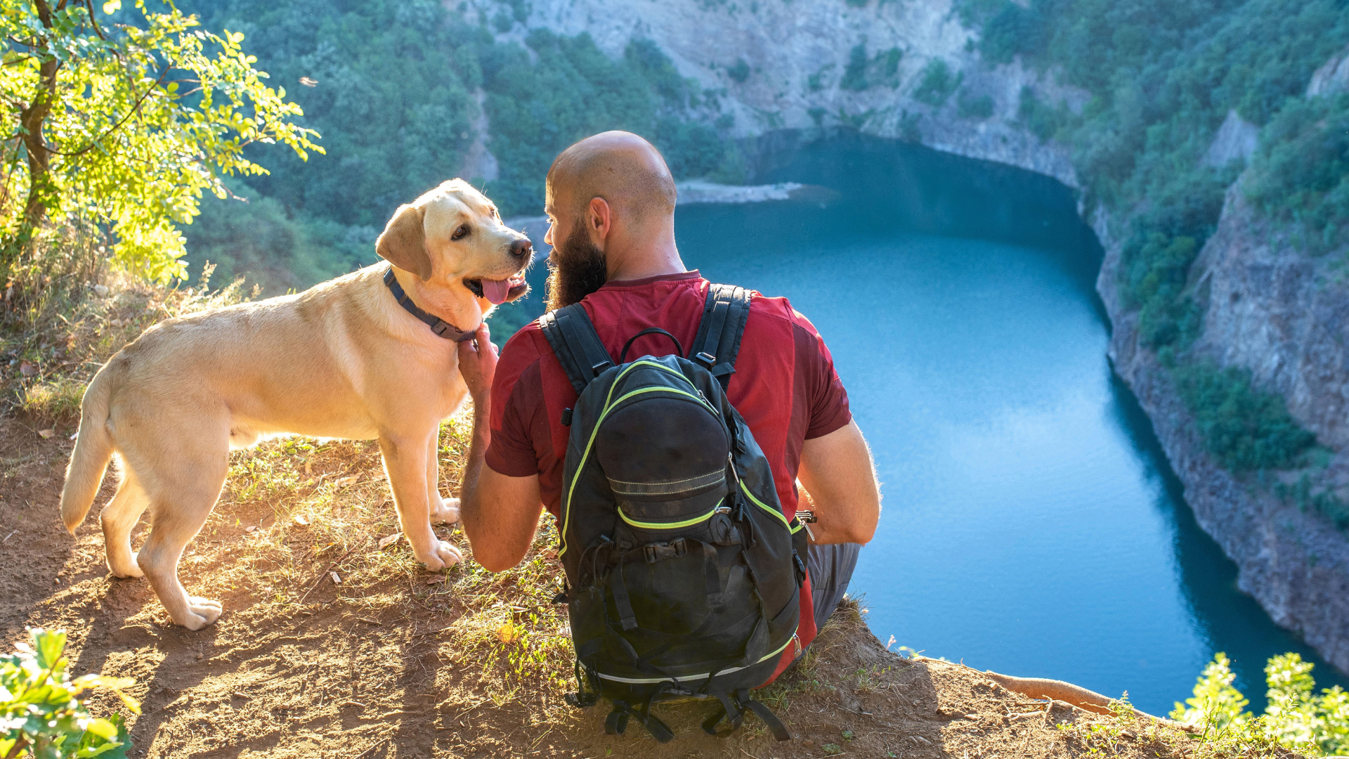 Preparing Your Dog for Their First Hike