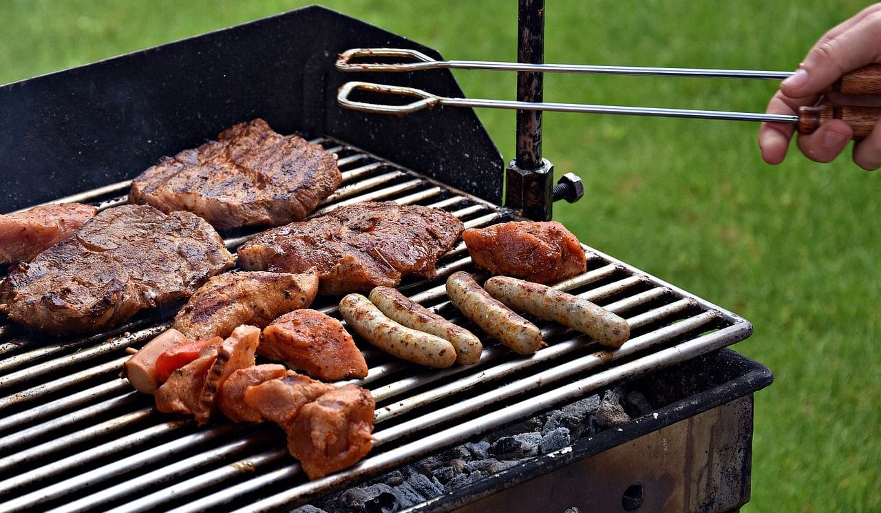 How to Host a Dog-Friendly Barbecue or Outdoor Party