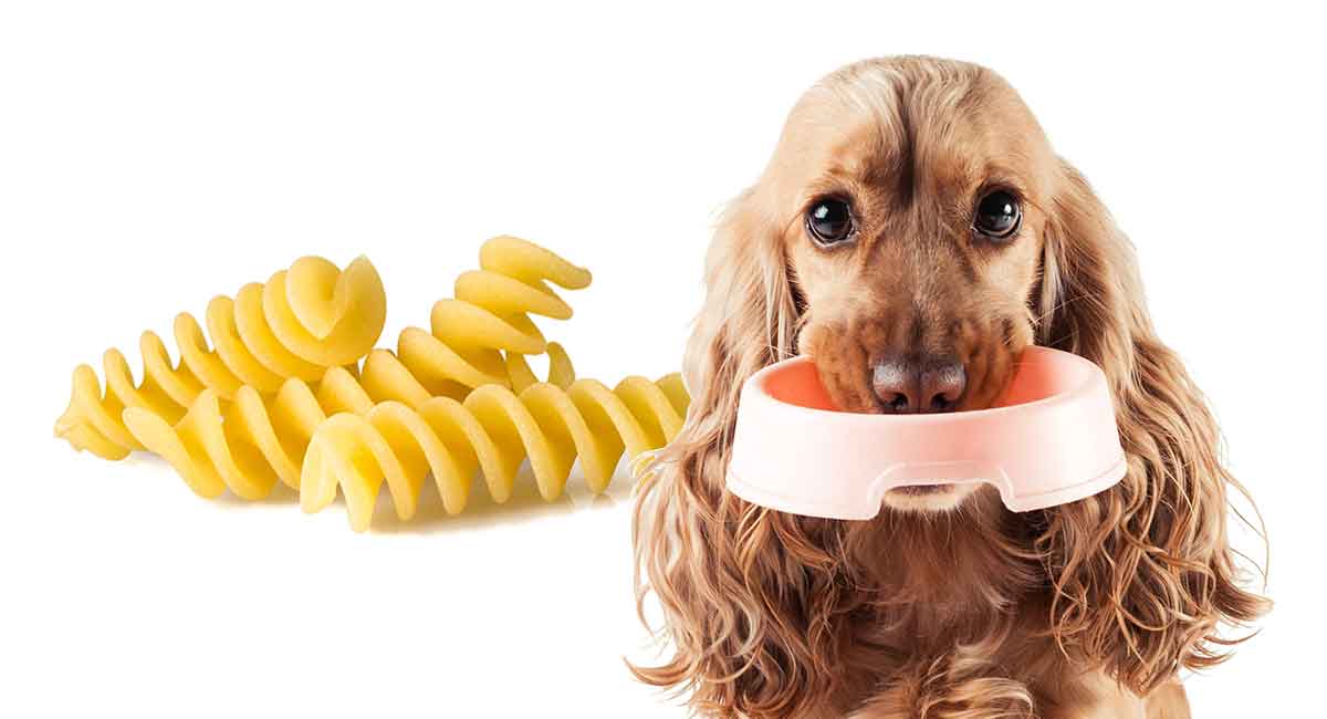 Can Dogs Eat Plain Pasta?