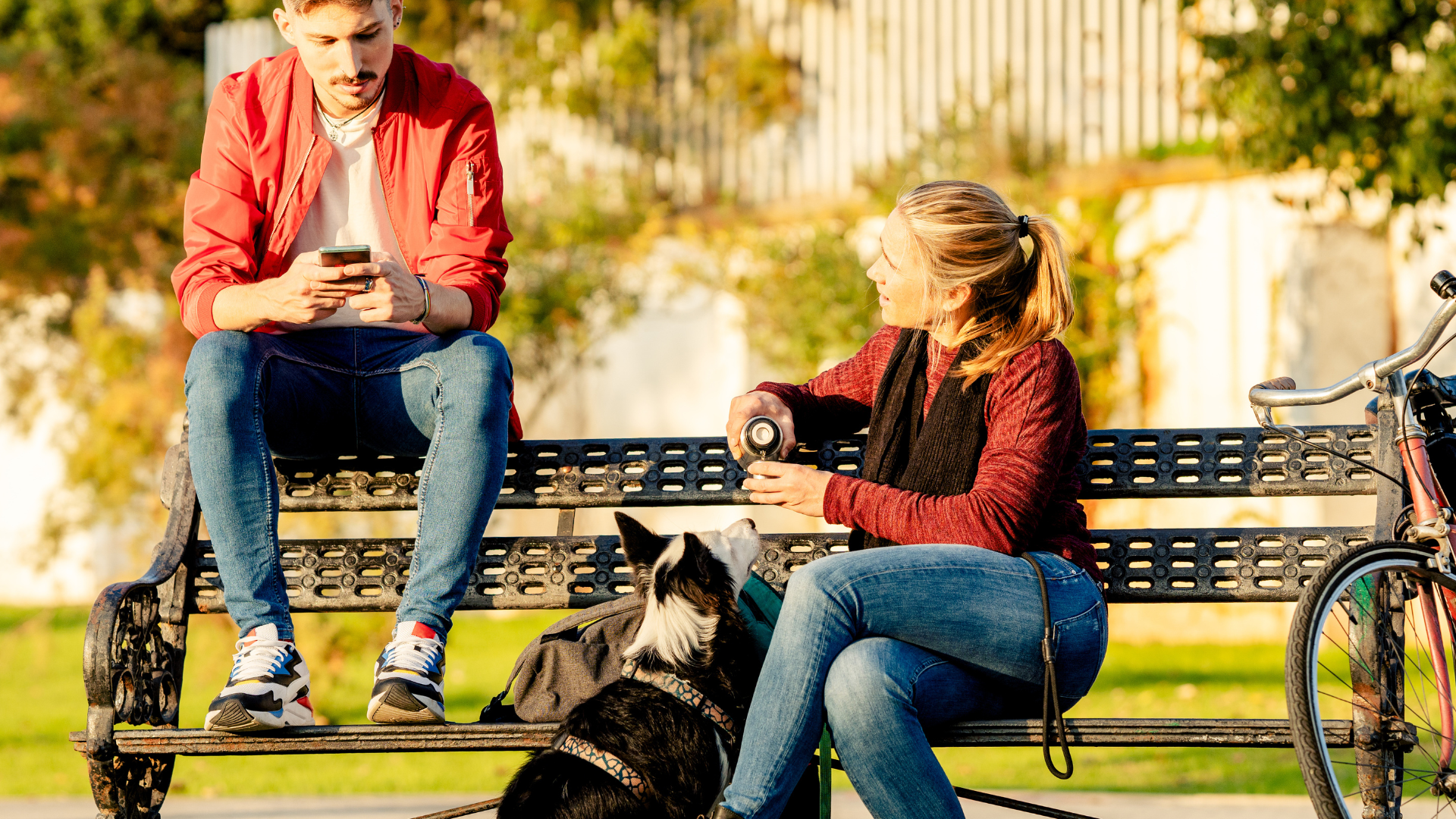 Socializing Your Dog in an Urban Environment