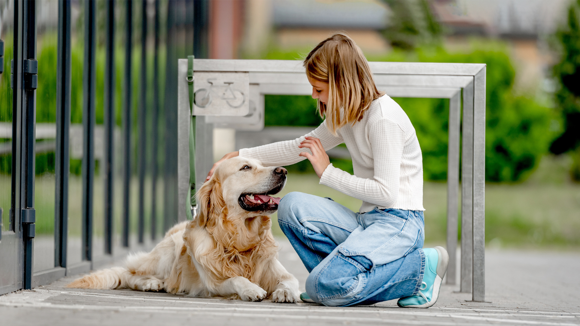 Teaching Responsibility Through Dog Care Tasks