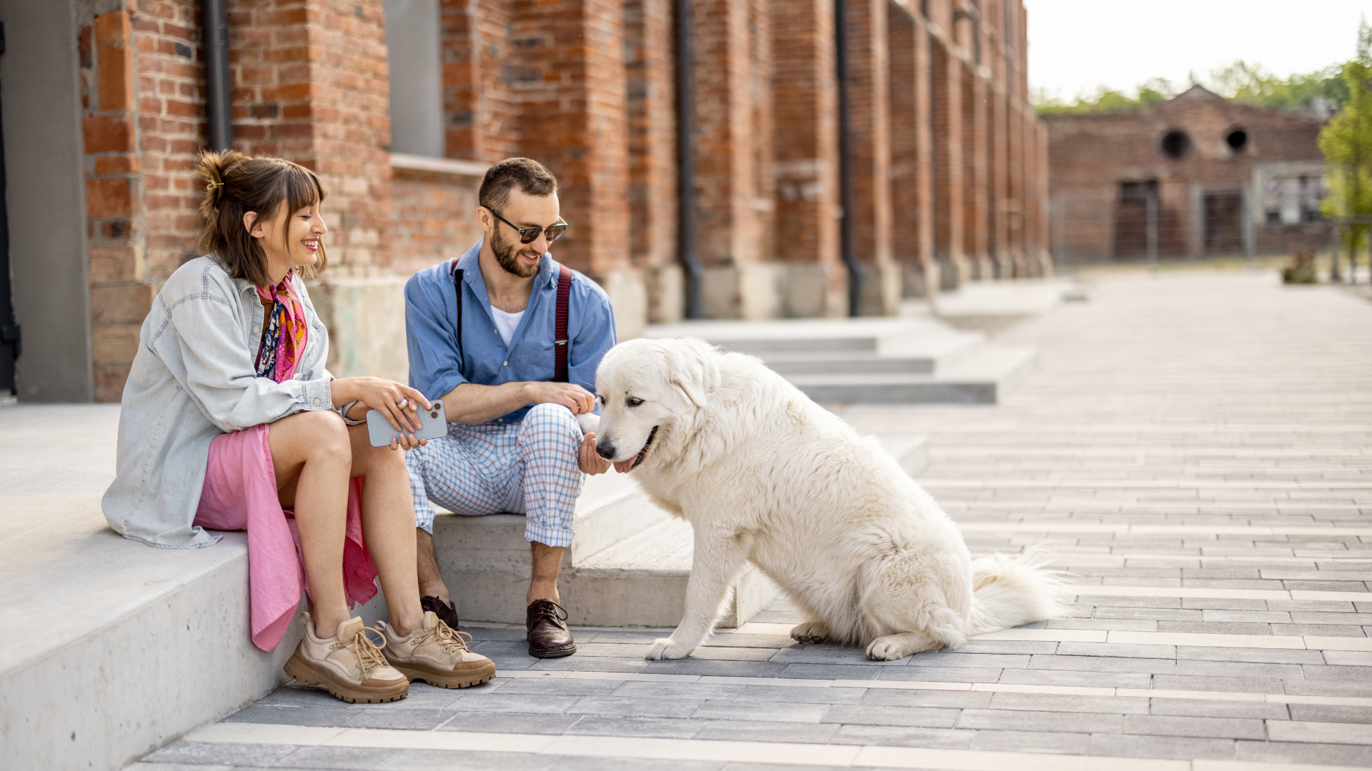 Tips for First-Time Dog Owners in the City