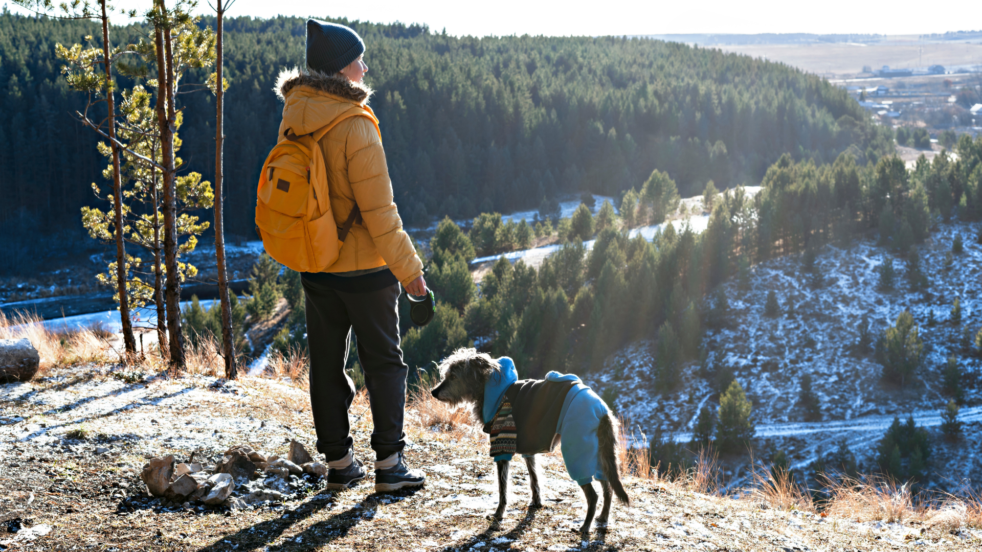 Trail Etiquette for Dogs and Their Humans