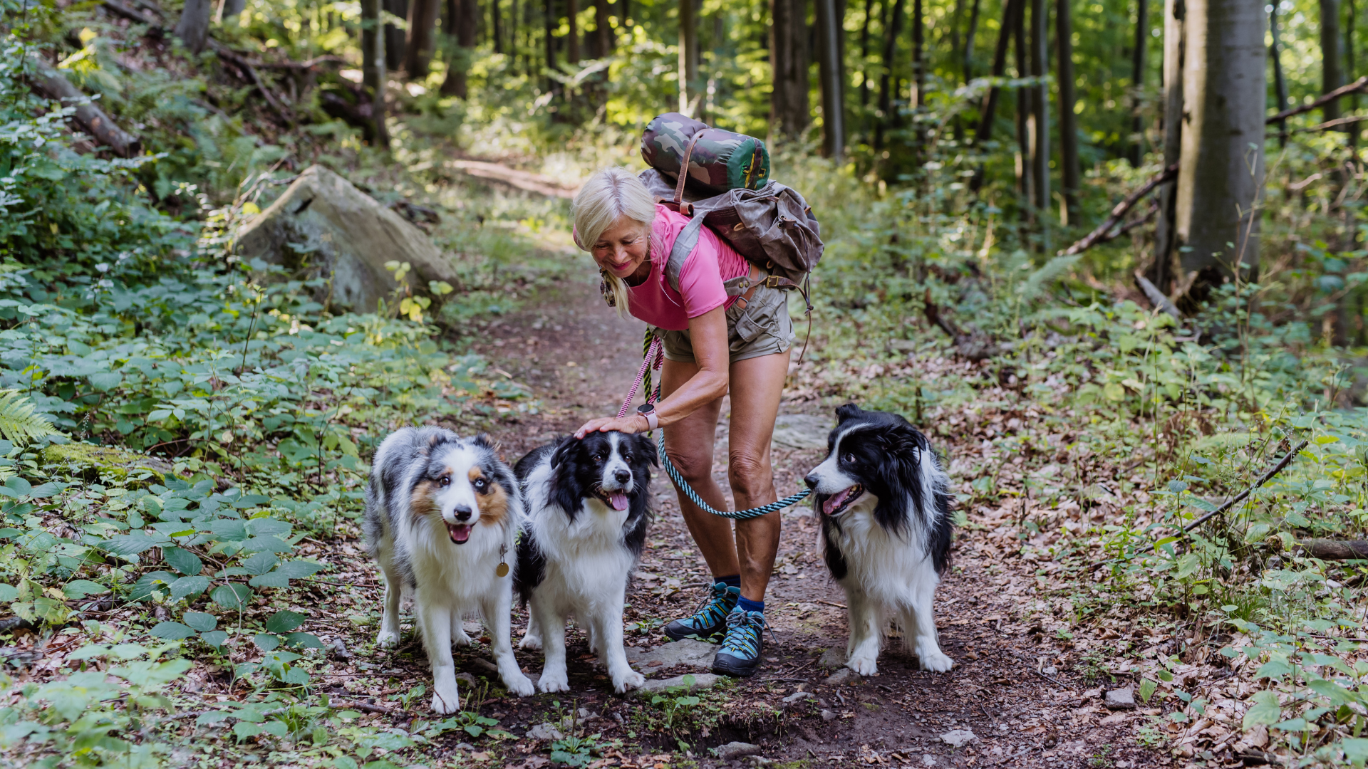 Trail Etiquette for Dogs and Their Humans
