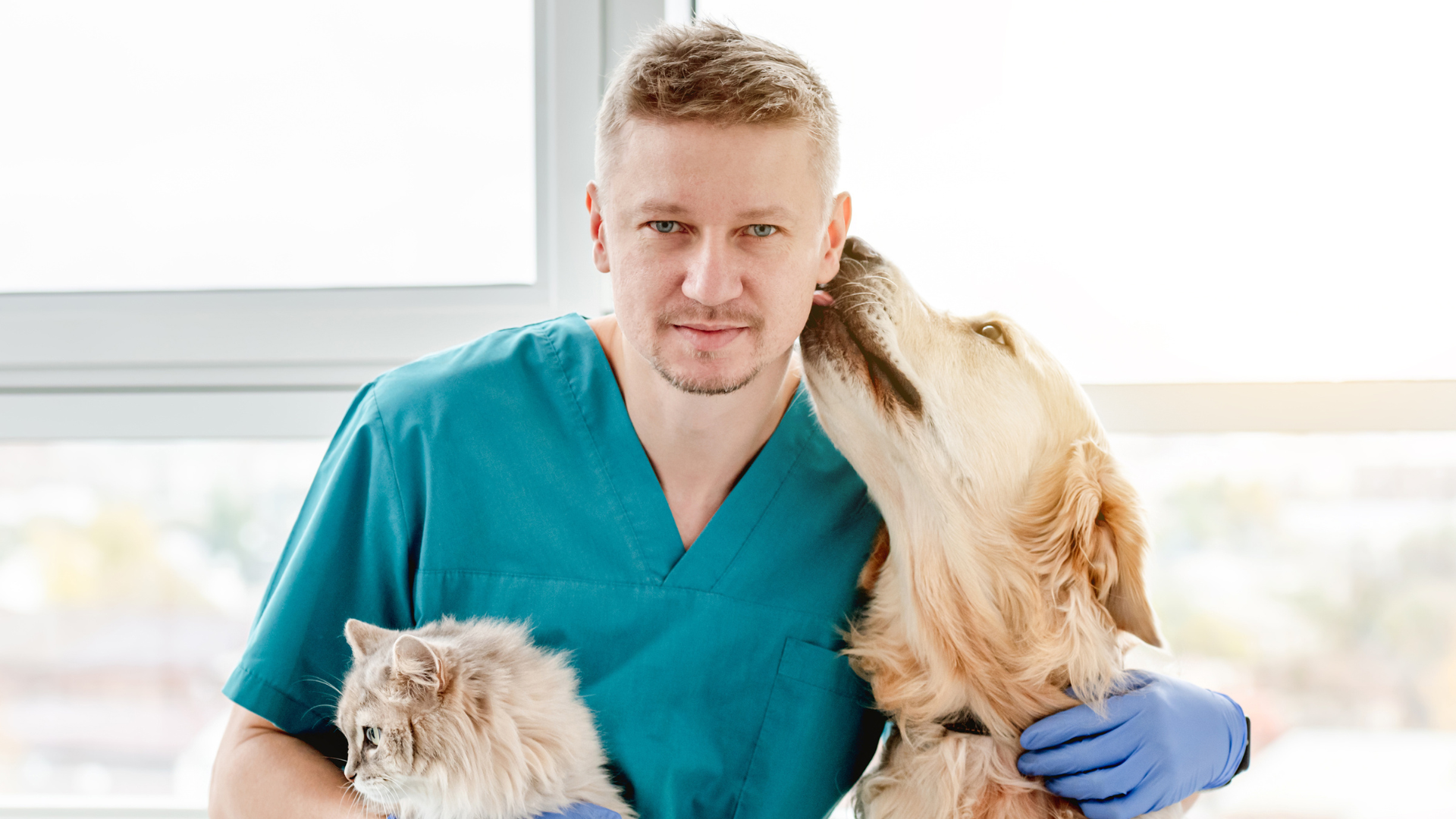 Navigating Veterinary Care in the City