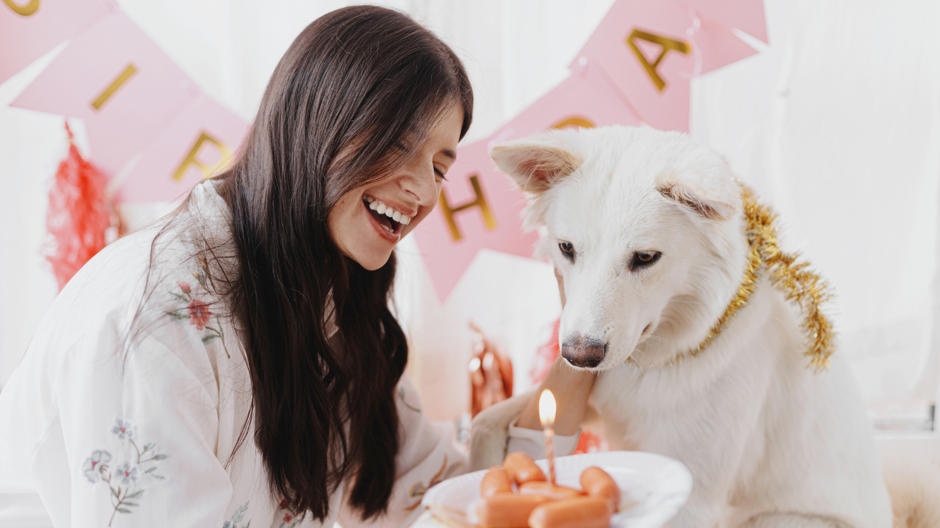 What to do for Dogs Birthday