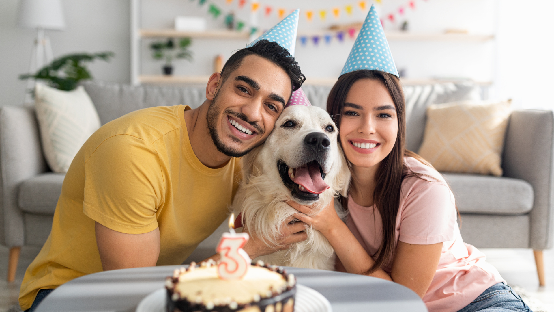 What to do for Dogs Birthday