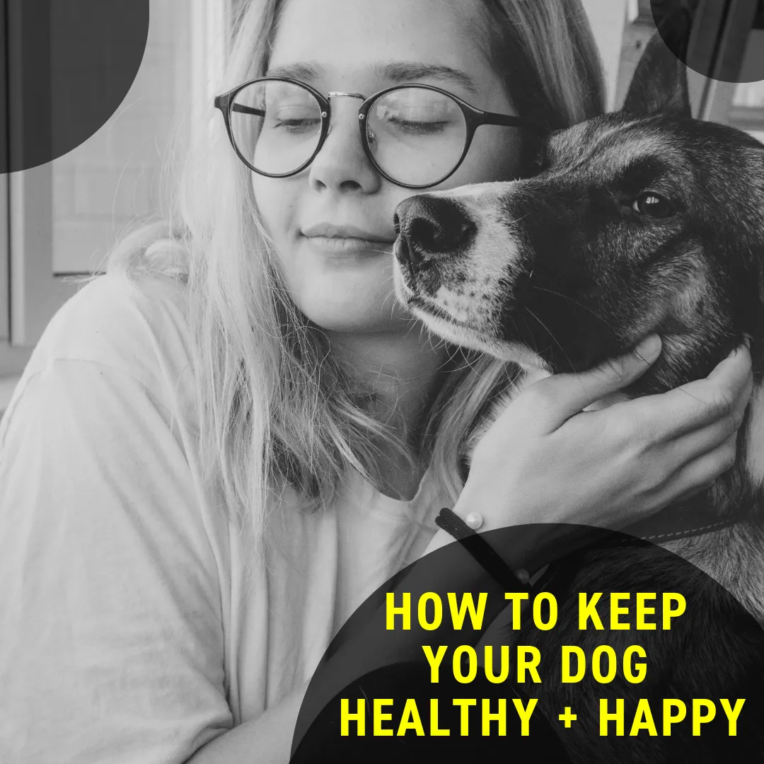 Secrets to Keeping Your Dog Healthy and Happy