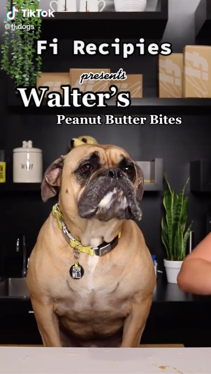 Cooking With Fi: Walter's PB Bites