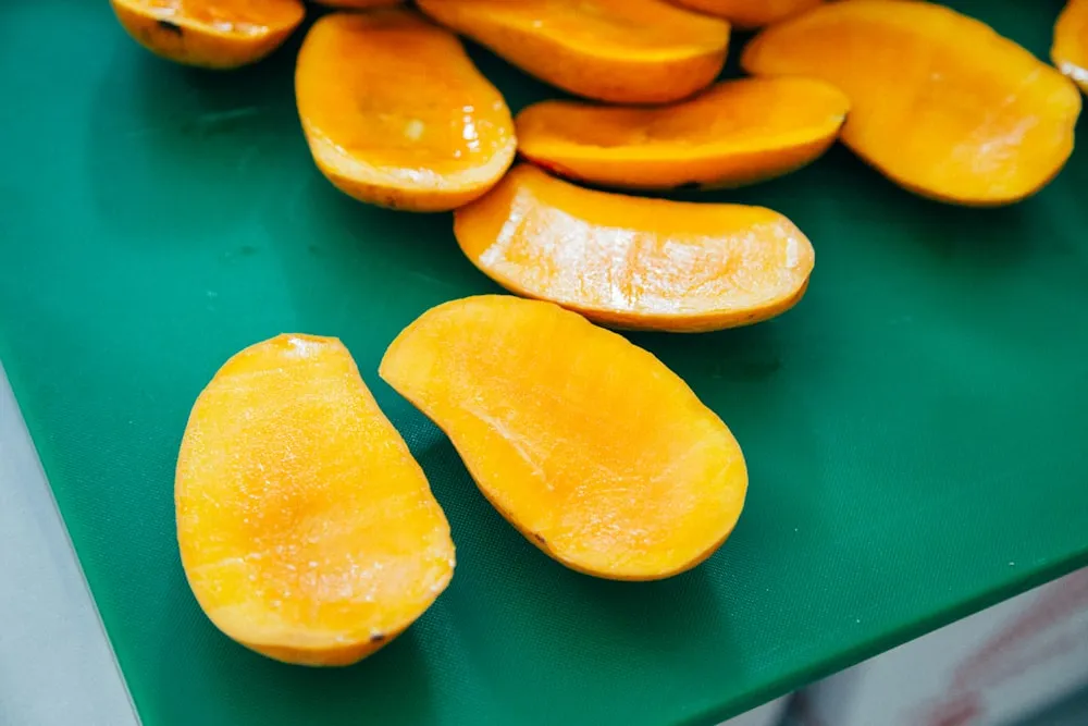 Yummy Mango Dog Treat Recipes