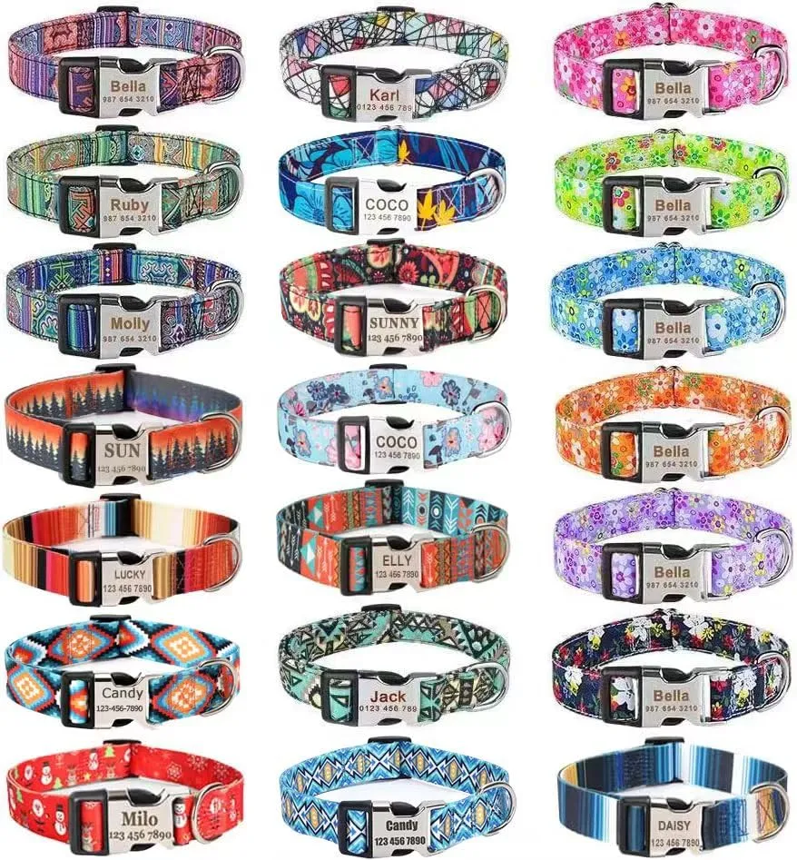 Moonpet Personalized Colorful Custom Dog Collar