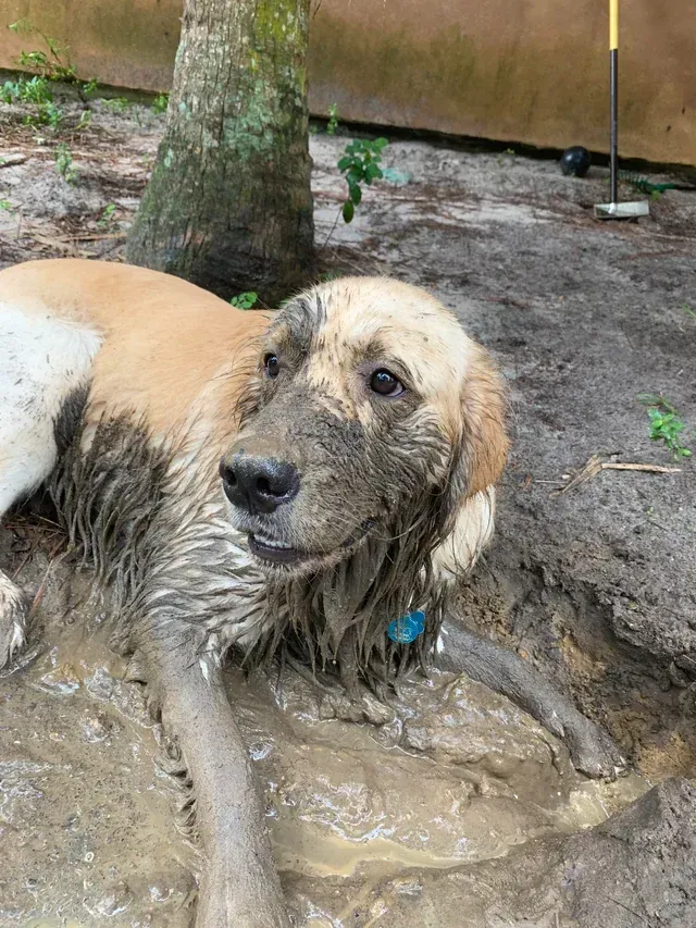 Mud Bath Enthusiast