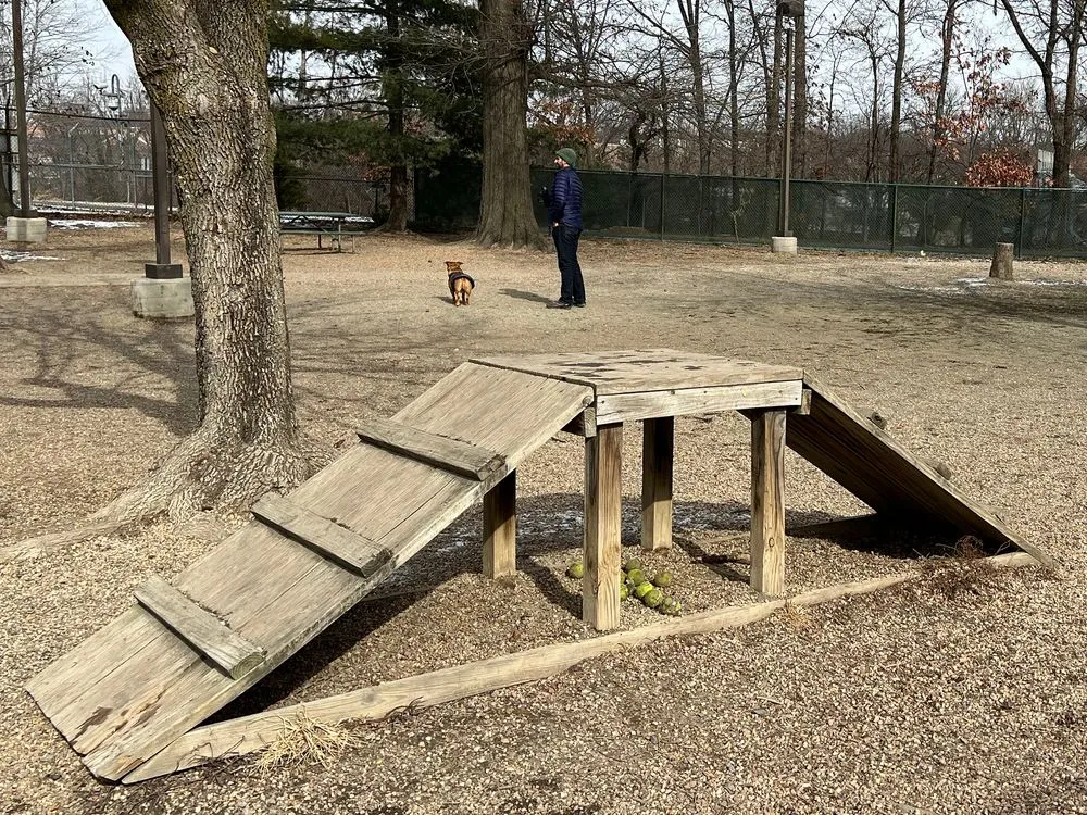 Barcroft Dog Park, Arlington