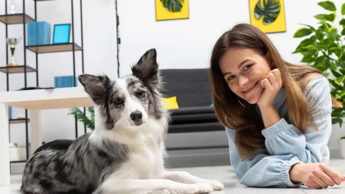 CAN COLLIES LIVE IN APARTMENTS? COLLIES IN SMALL SPACES