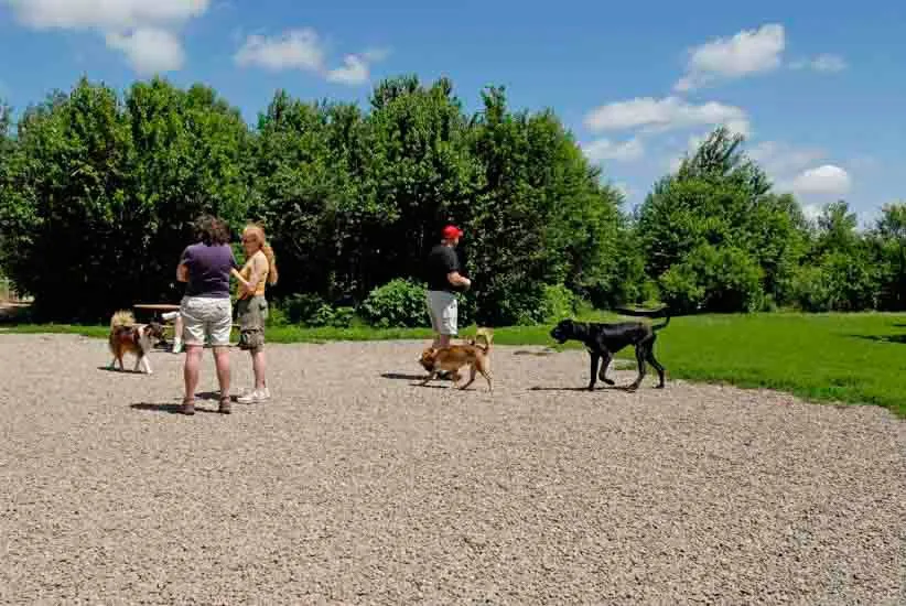 Cleary Lake Regional Park Off-Leash Dog Park