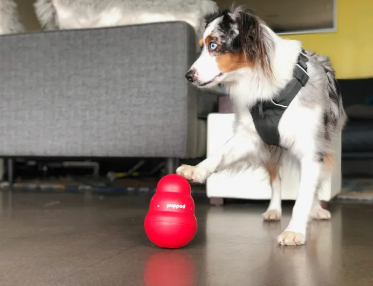 PupPod Smart Dog Toy