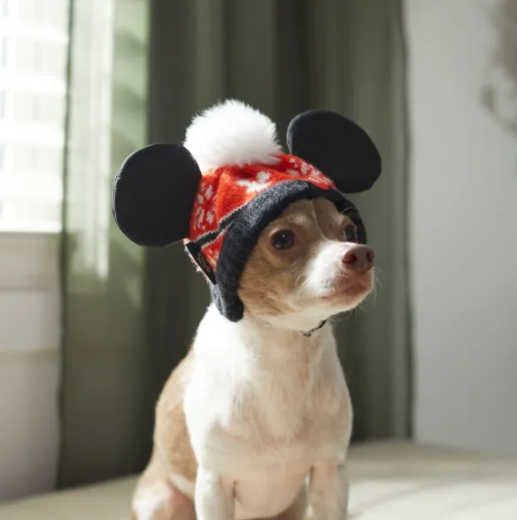 Disney Mickey Mouse Holiday Dog