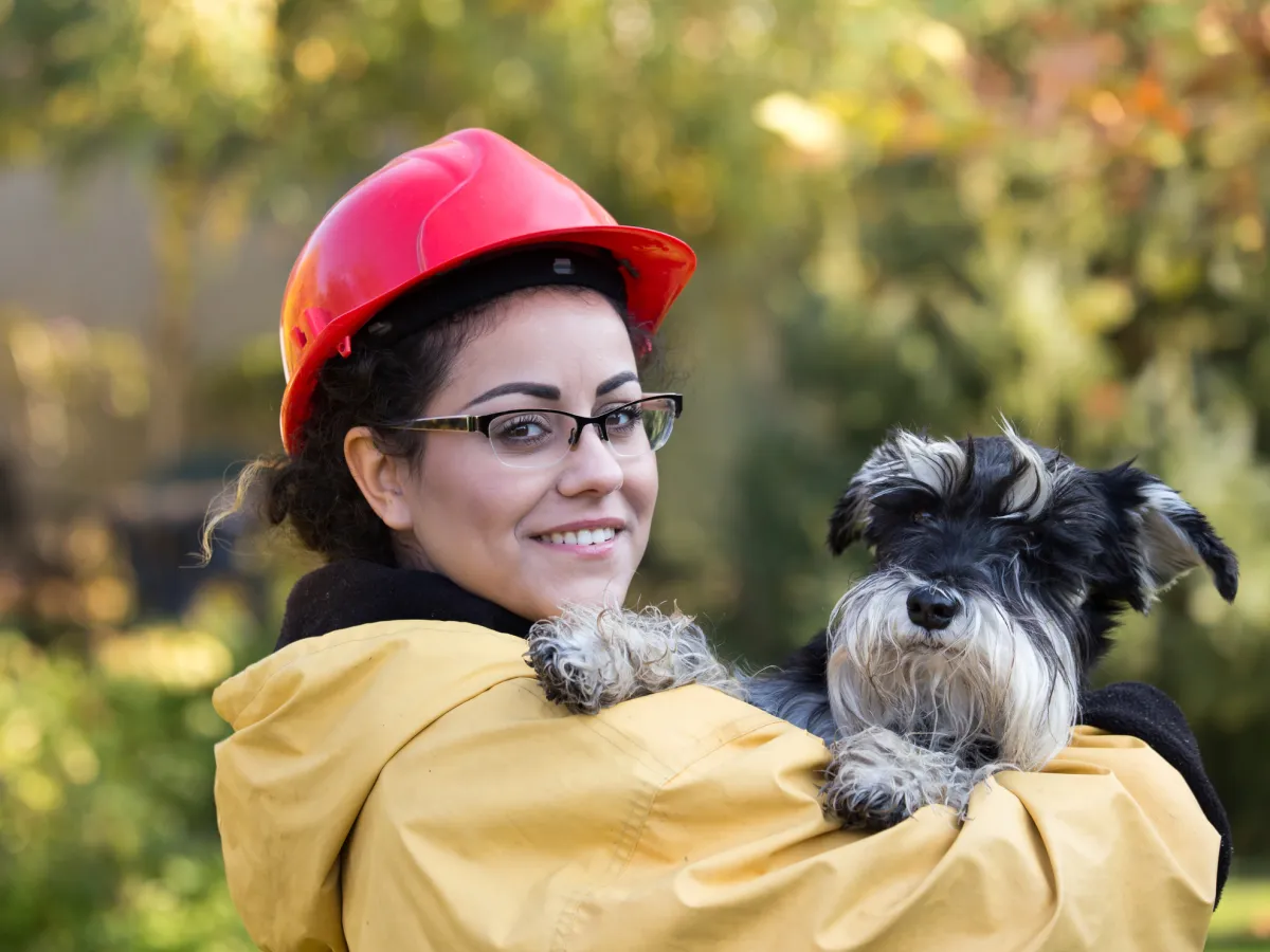 Emergency Preparedness for Dog Owners in Urban Areas