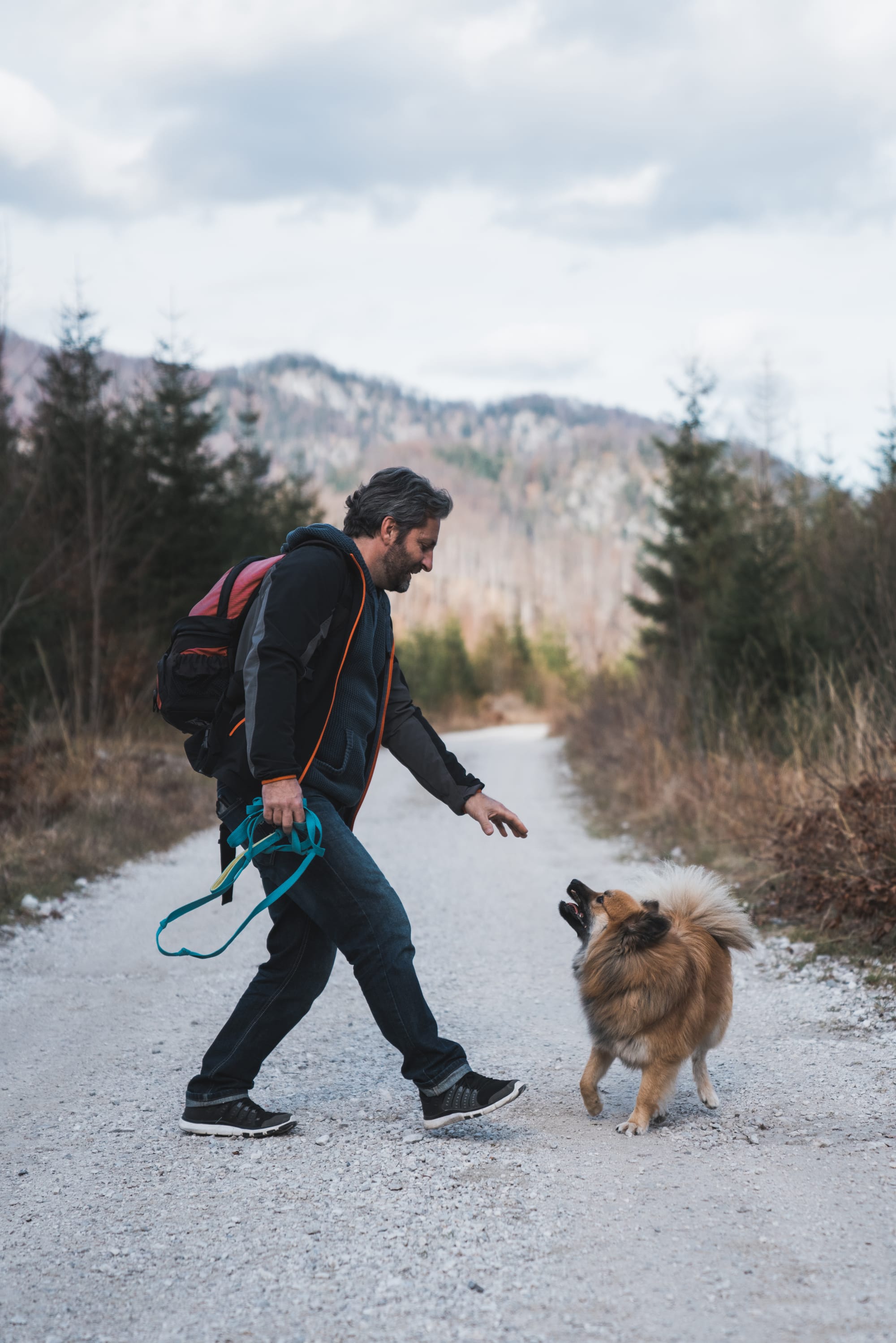 Teaching Your Dog Trail Commands for Hiking