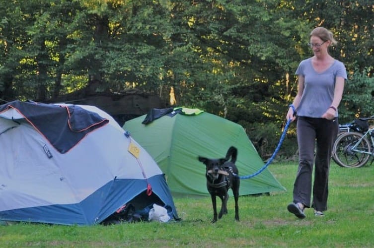 Camping With Dogs