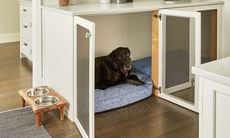Innovative Dog Bed and Crate Ideas