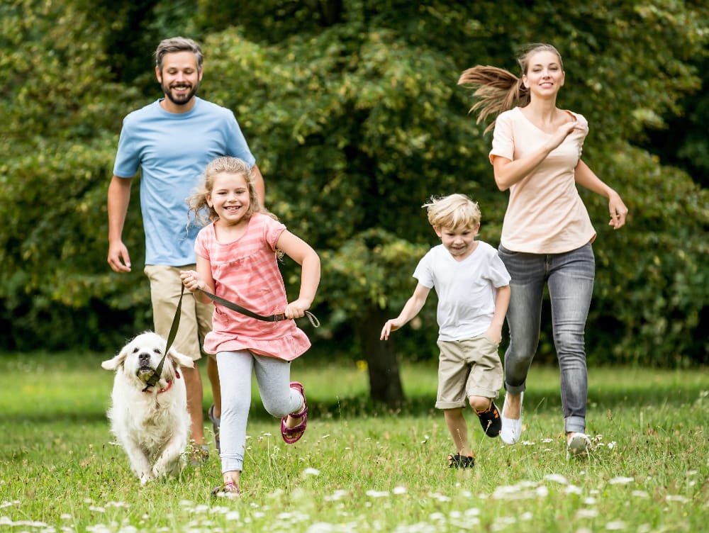 Outdoor Family Activities with Dog