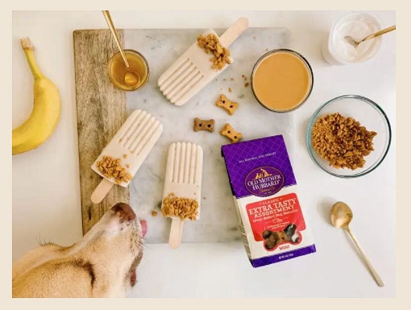 Popsicles for Dogs