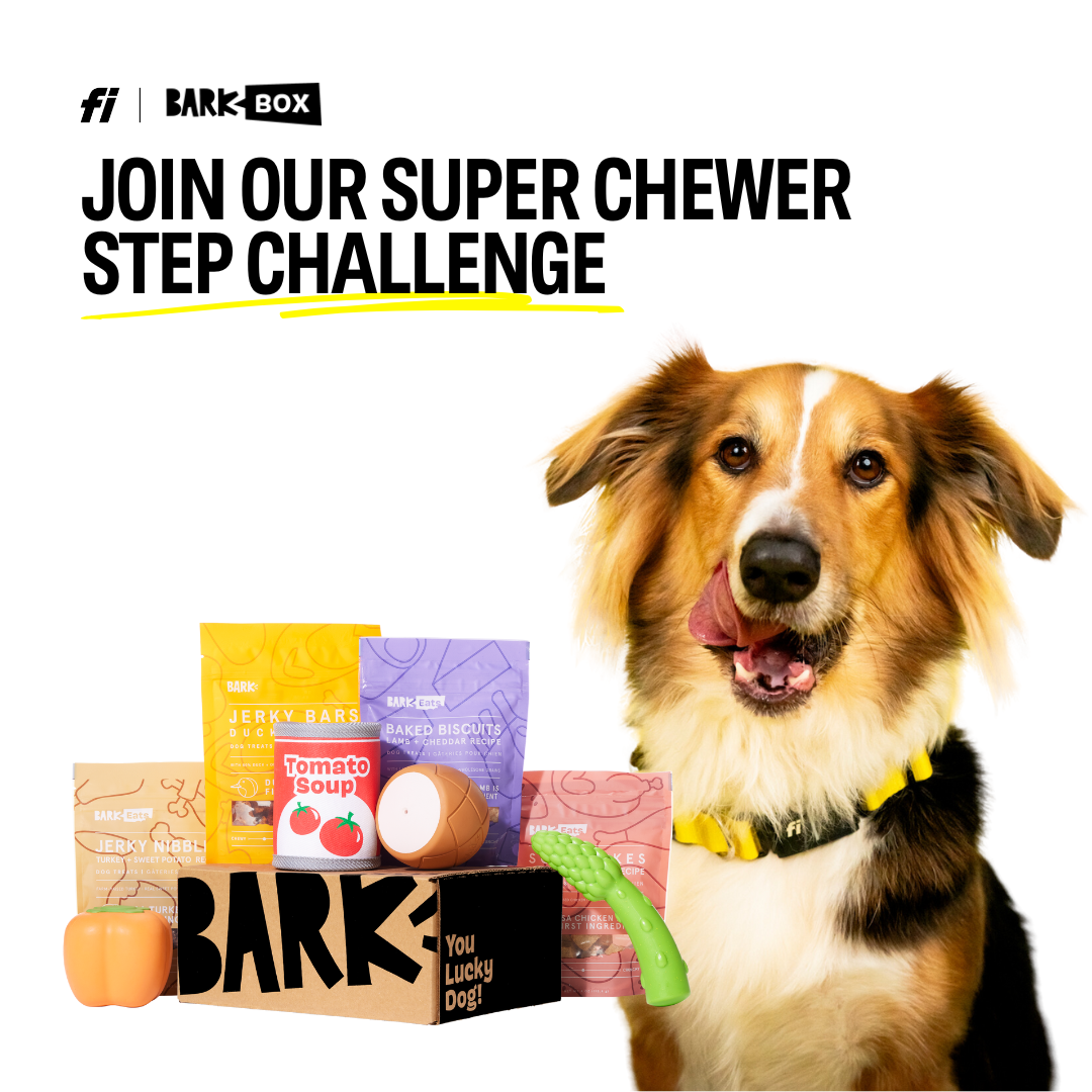 Chew on This: Win a Year of Toys with Our Super Chewer Step Challenge!