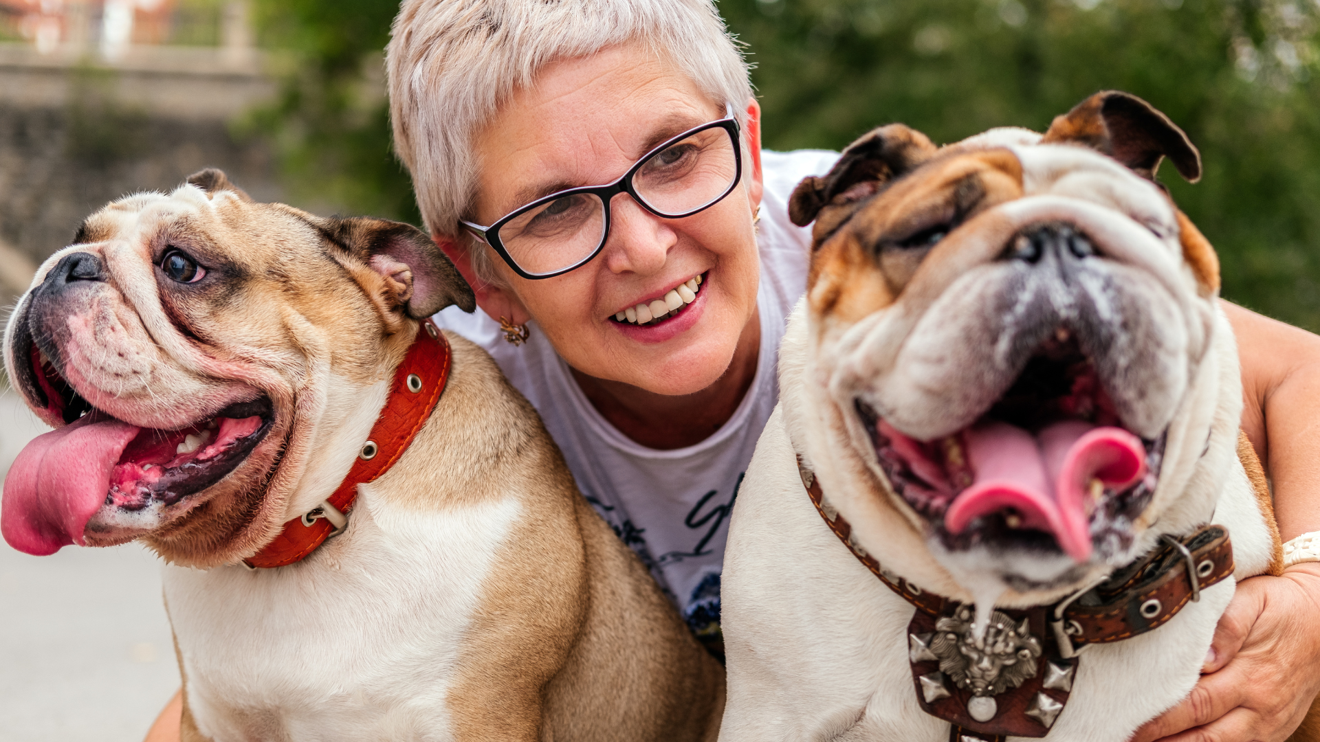 Benefits of Adopting Senior Dogs