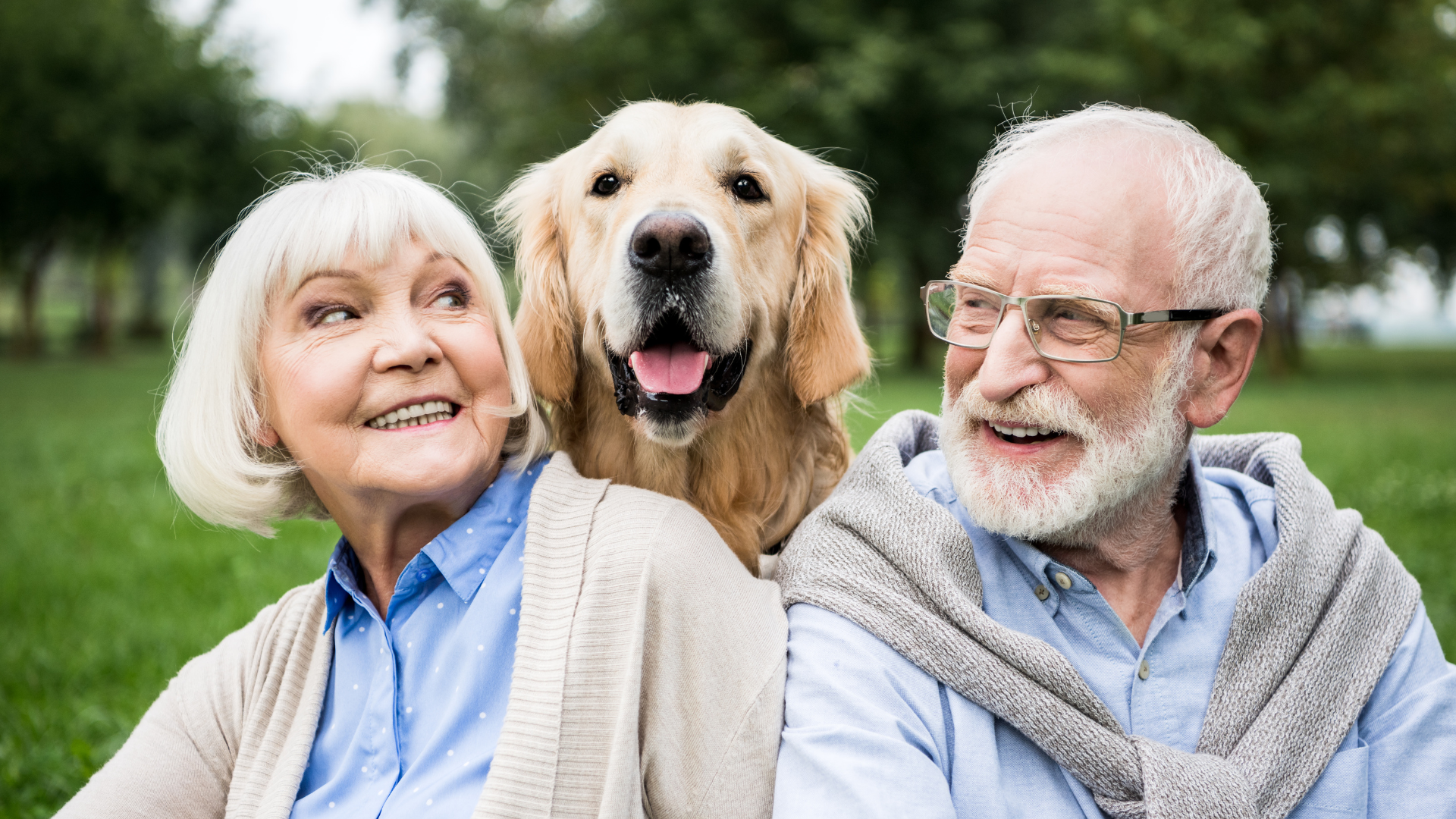 Best Dog Breed for Seniors