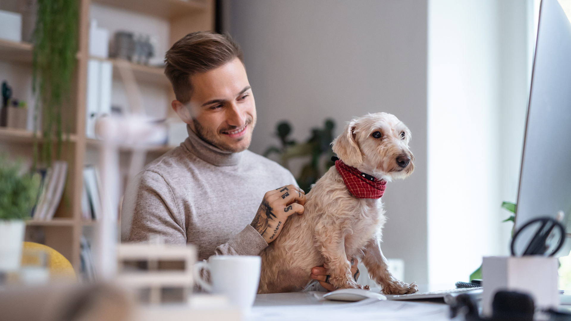 Best Dogs for Single People with Demanding Jobs