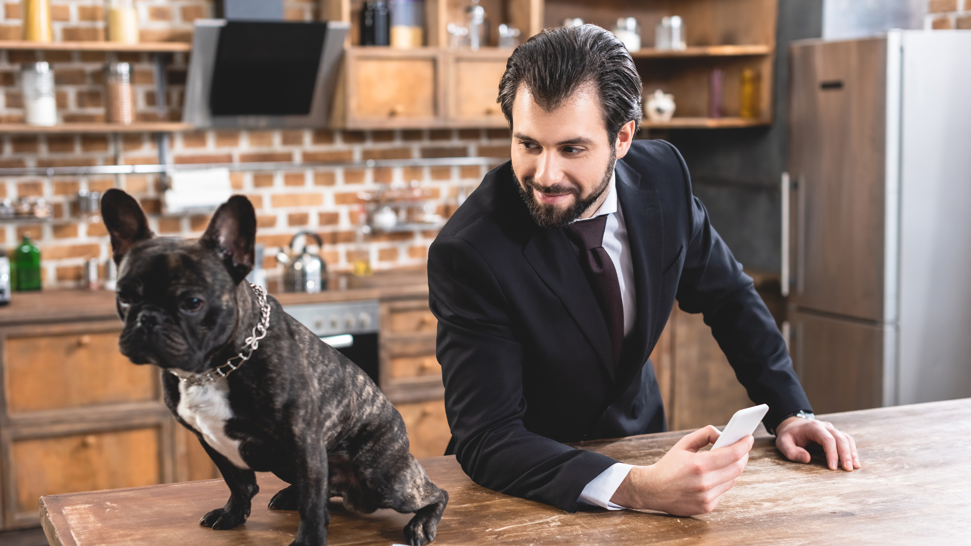 Best Dogs for Single Professionals with Long Work Hours