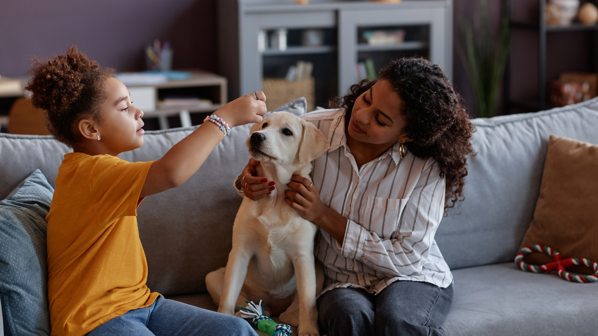 Pet Parenting