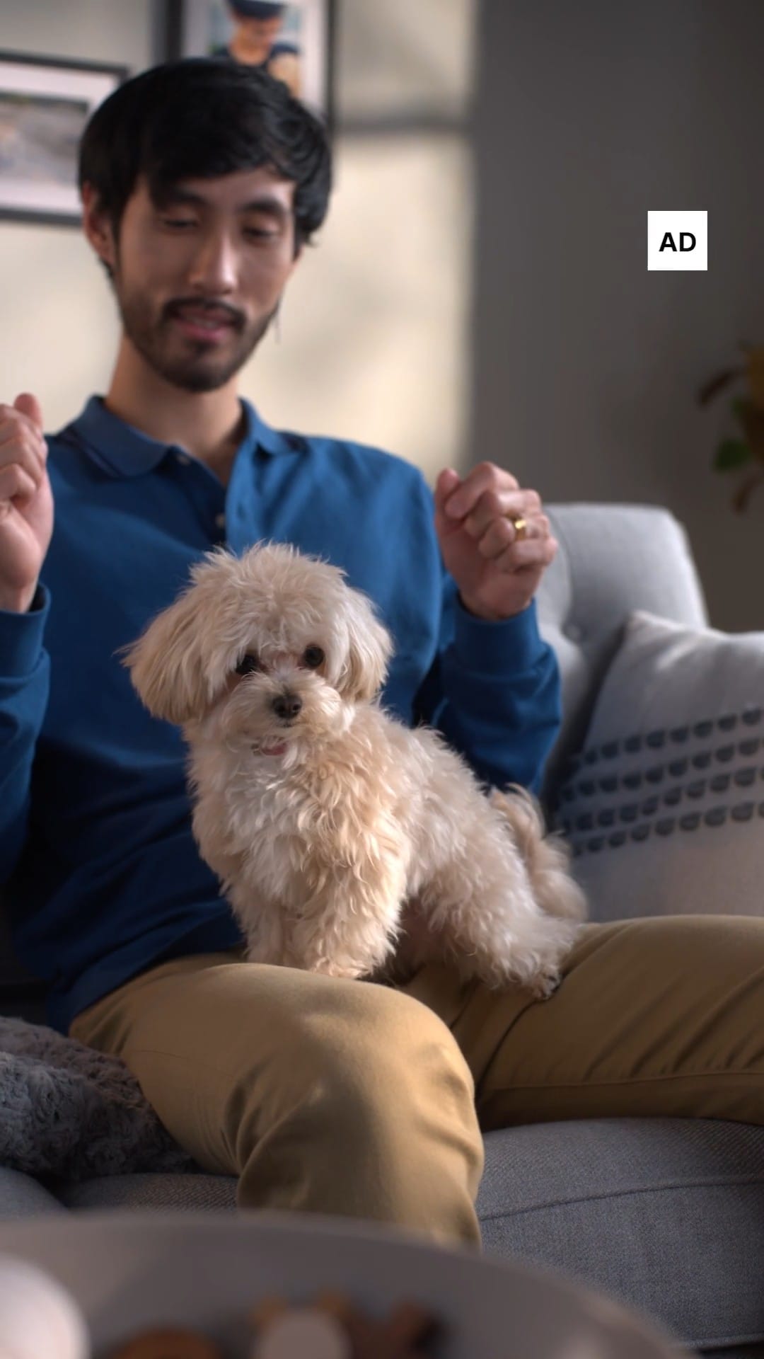 DOGFLUENCERS: Meet Peanut, the Cutest and Smallest Dog You've Ever Seen