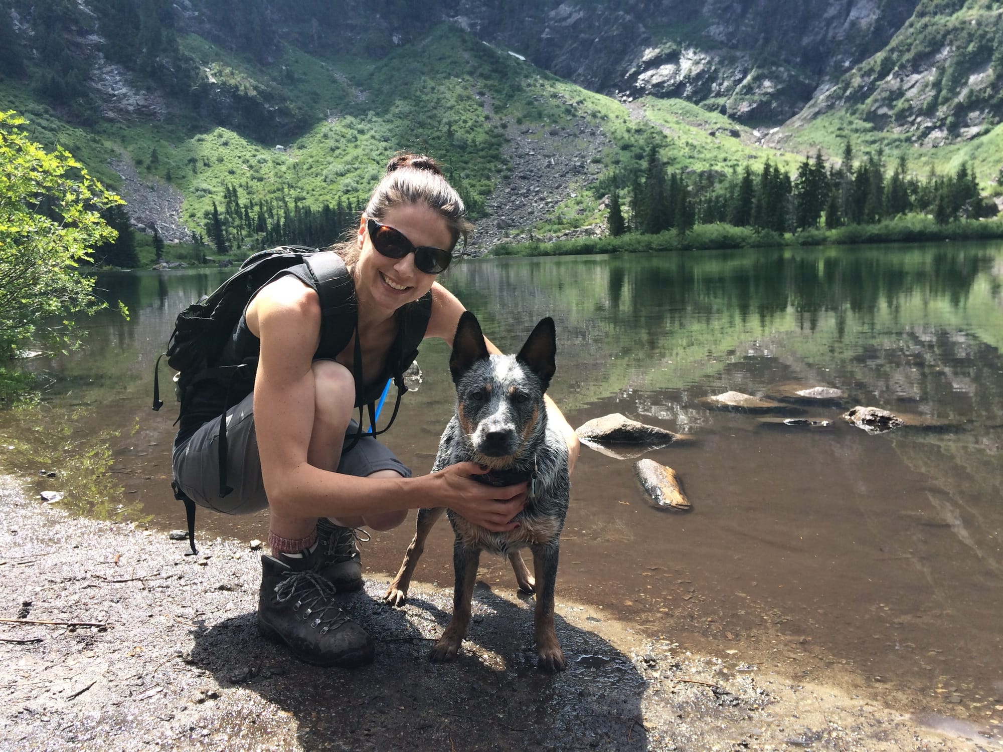 Best Dogs for Single People Who Frequently Travel