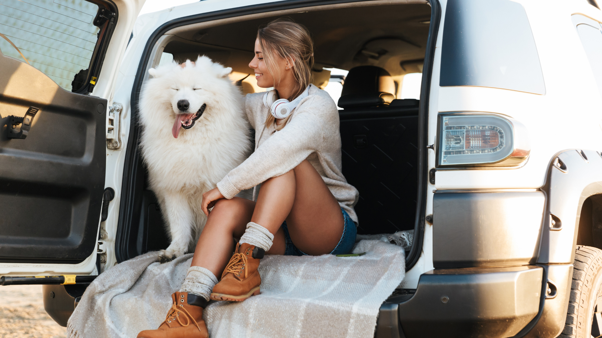 Traveling with Your Dog: Sleep Routine Tips On-The-Go