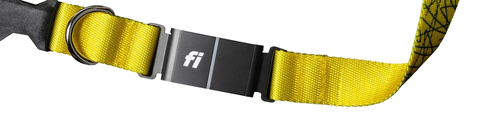 The Fi GPS Smart Collar