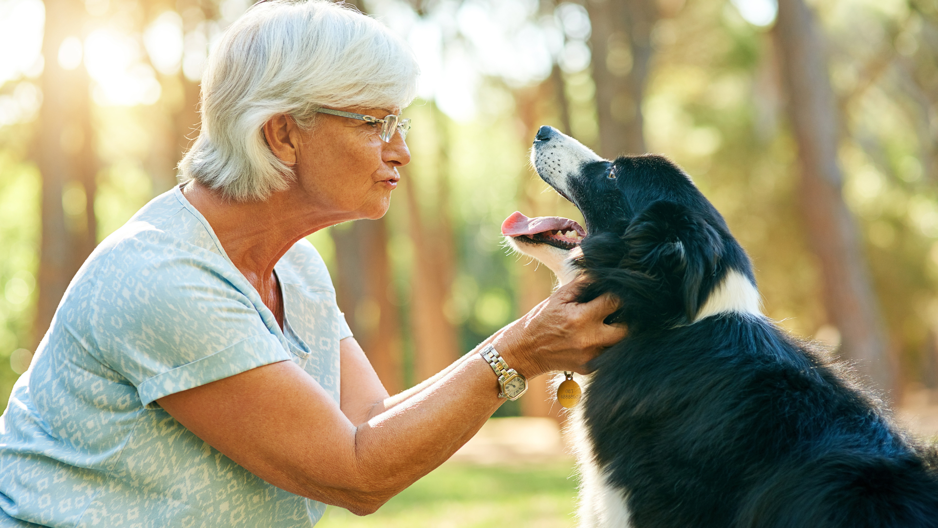 Best Dog Breed for Seniors