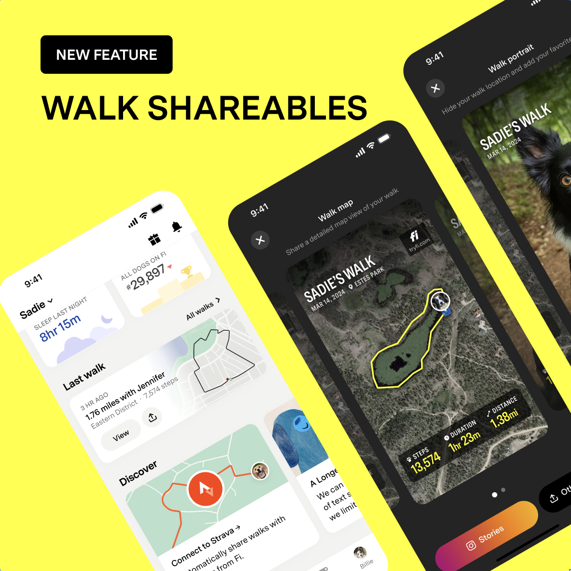 NEW FEATURE: Share Your Dog Walks Like Never Before