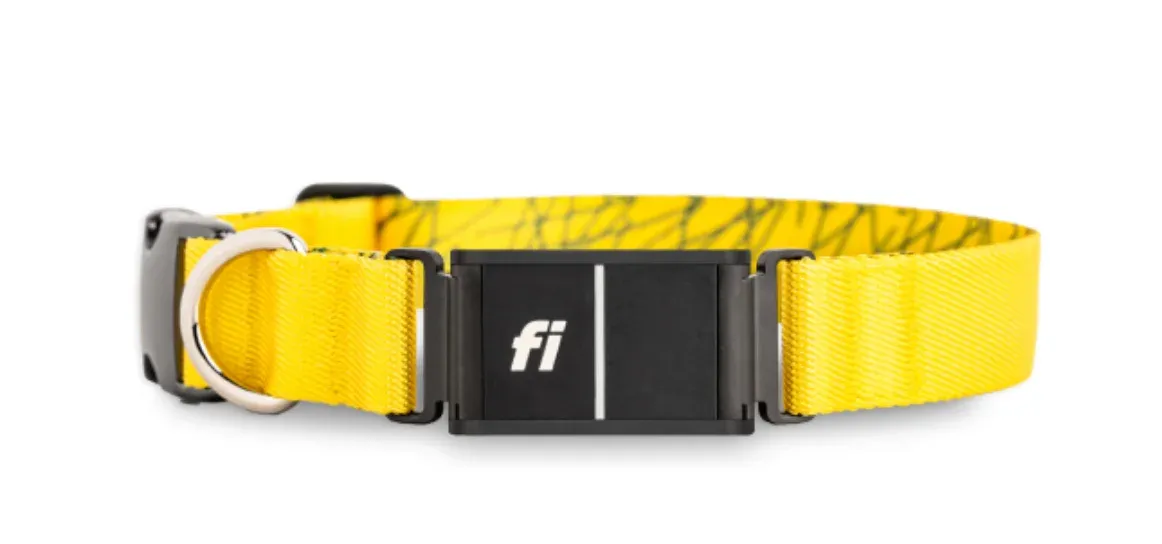 The Fi GPS collar