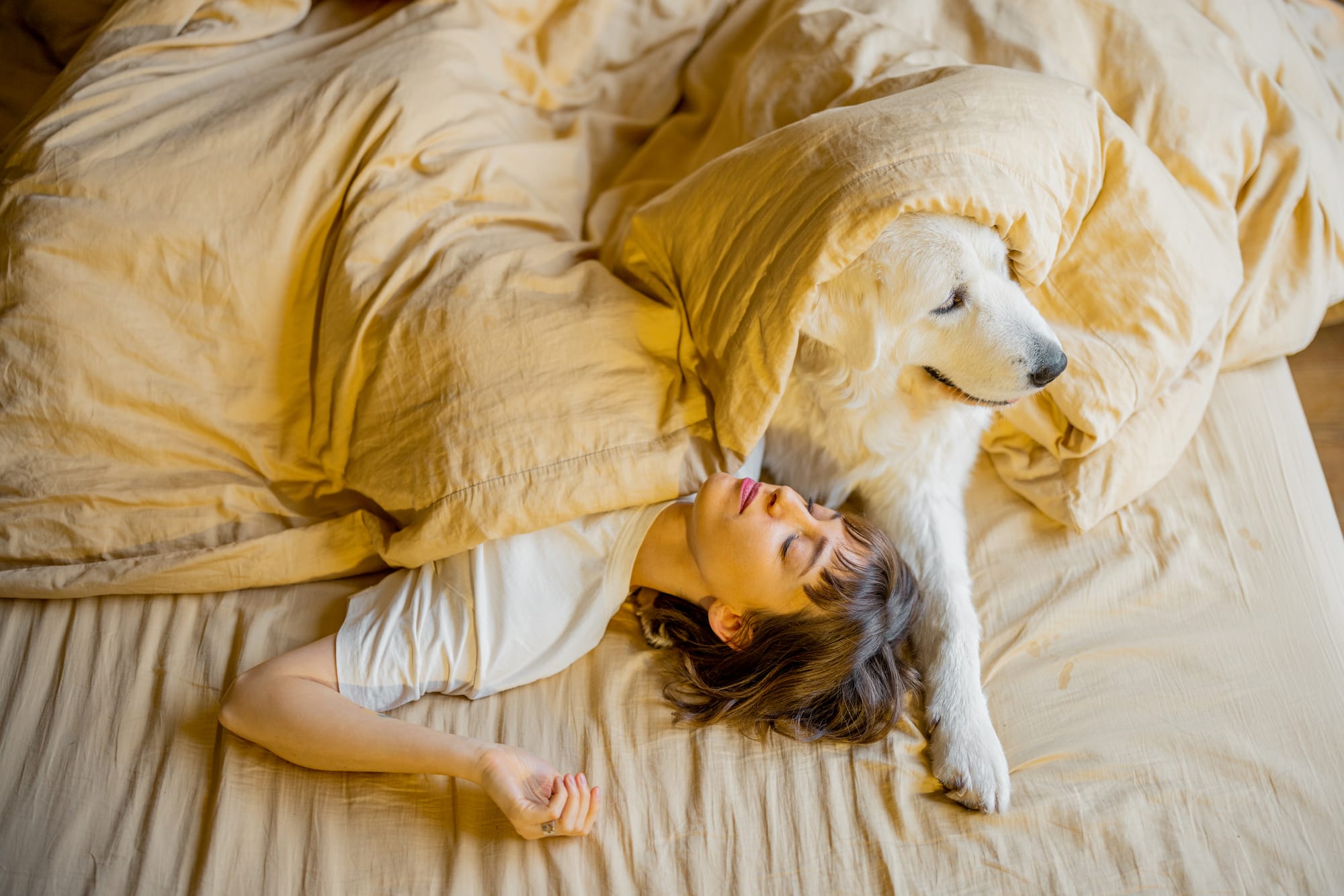 Sleeping with Your Dog