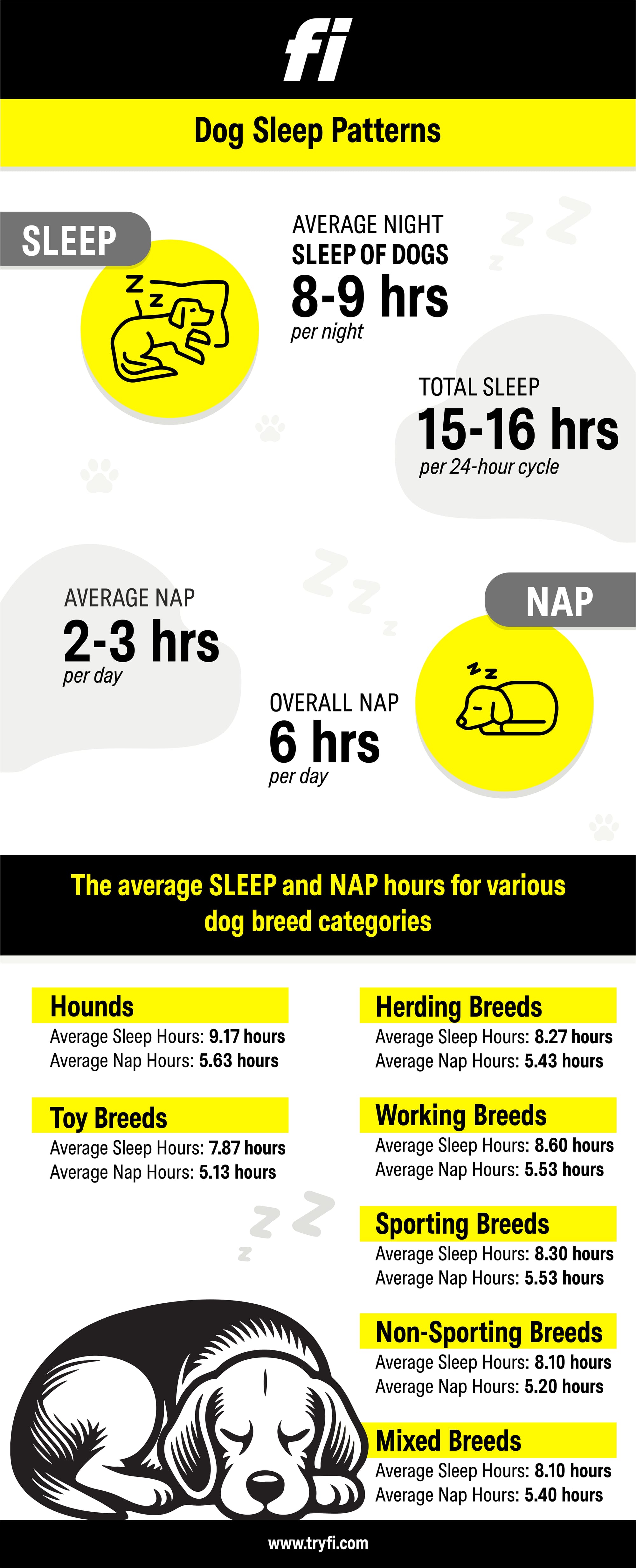 how much sleep does a dog need?