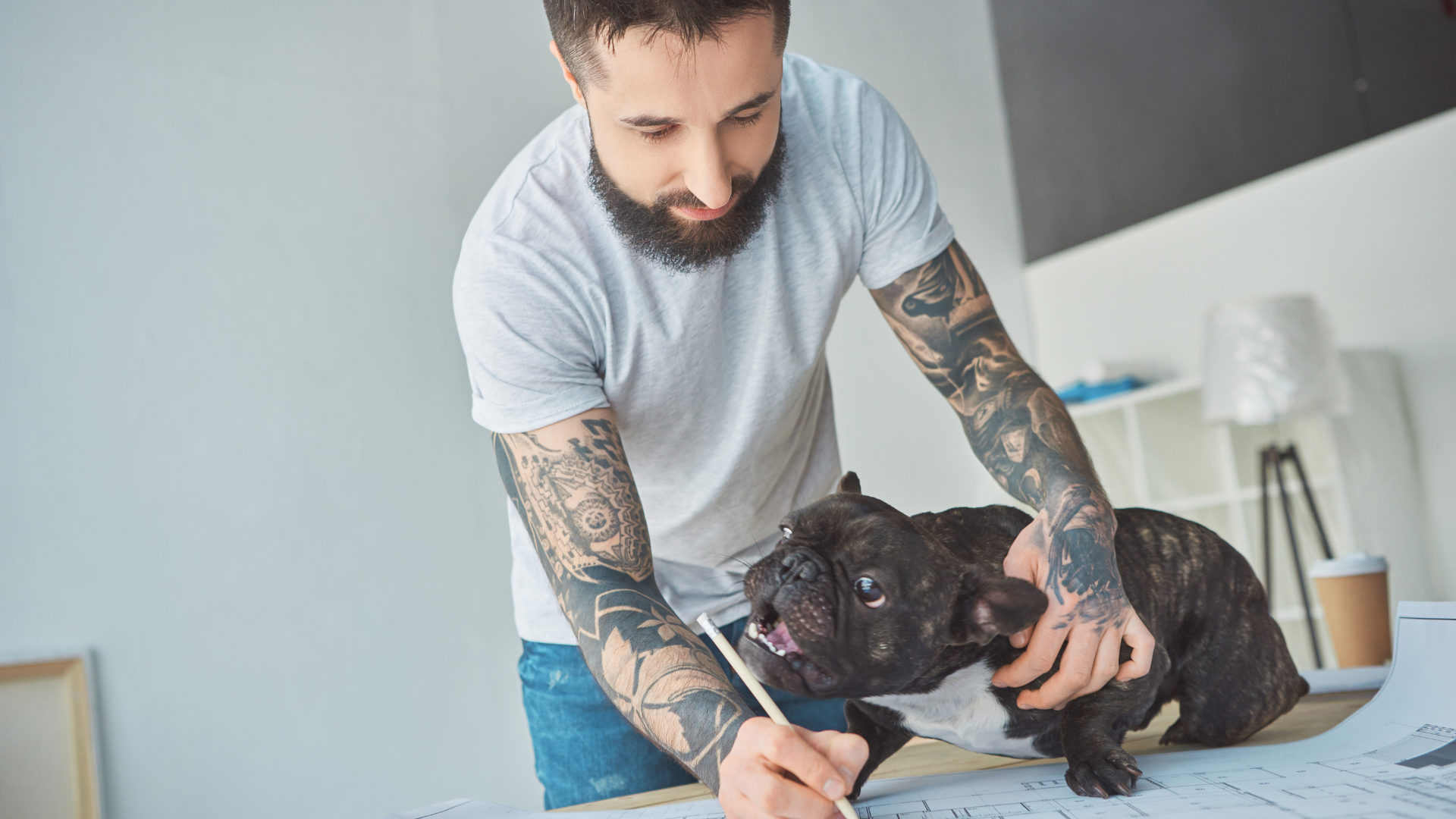 Care Guide for Designer Dog Breeds