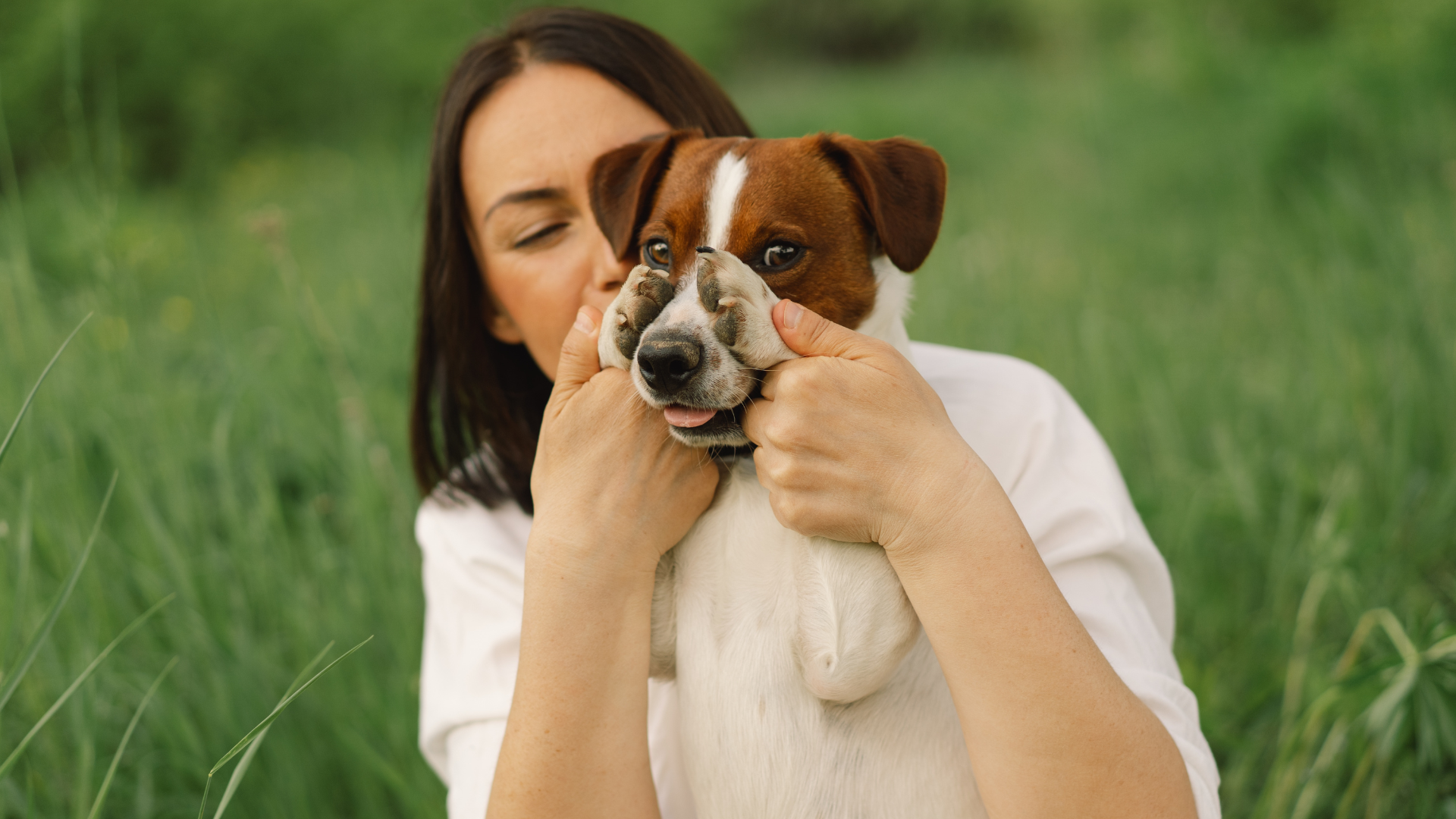 Eco-Friendly Tips for Dog Owners