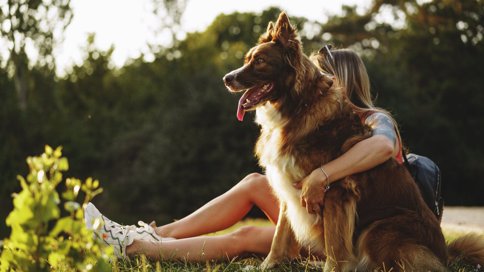 Eco-Friendly Tips for Dog Owners