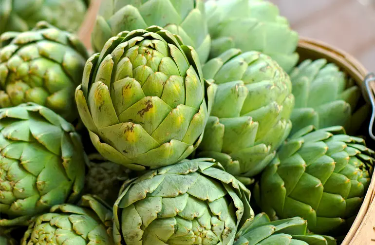 Can Dogs Eat Artichoke Hearts