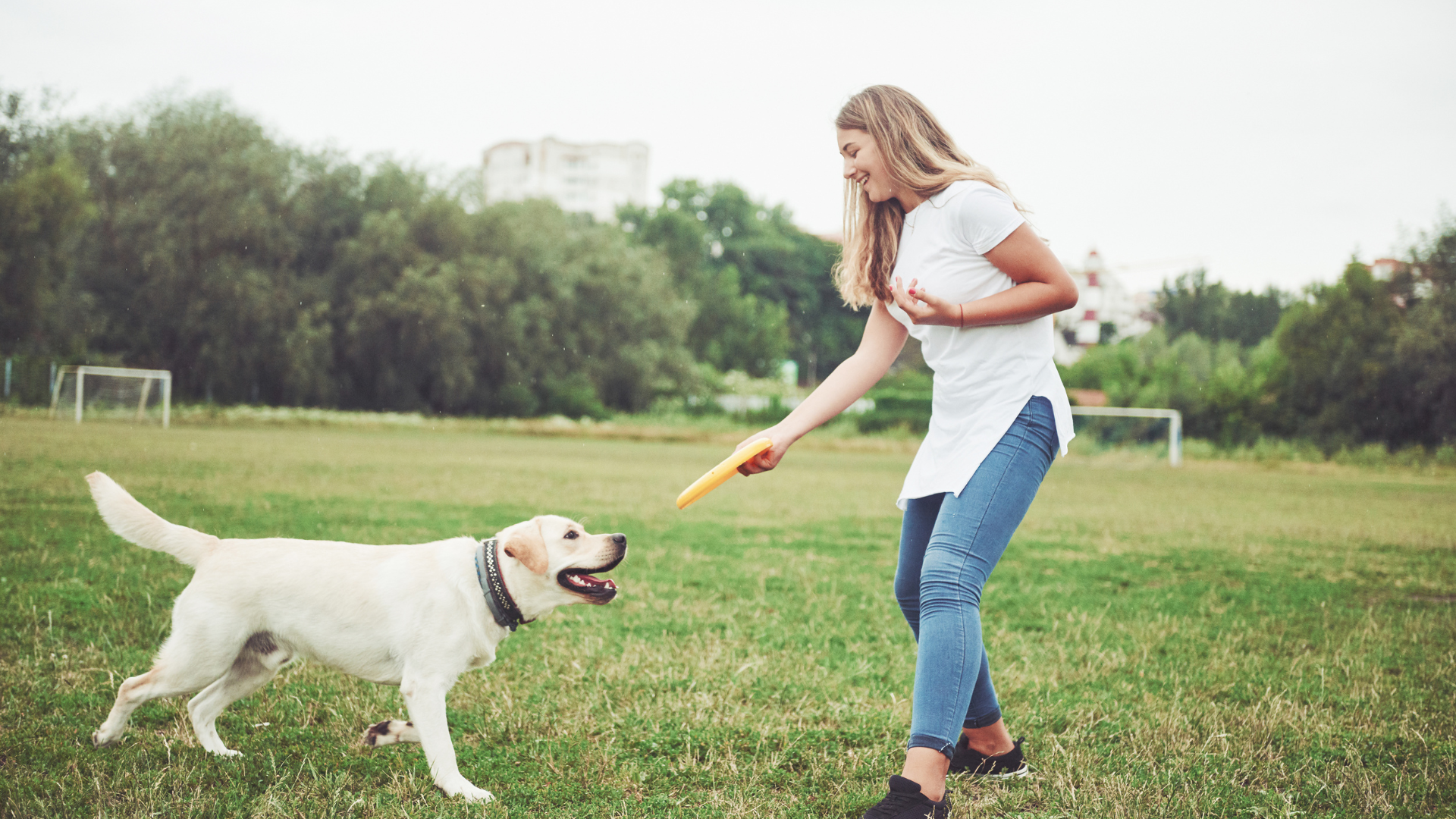 Outdoor Activities for Large Dogs