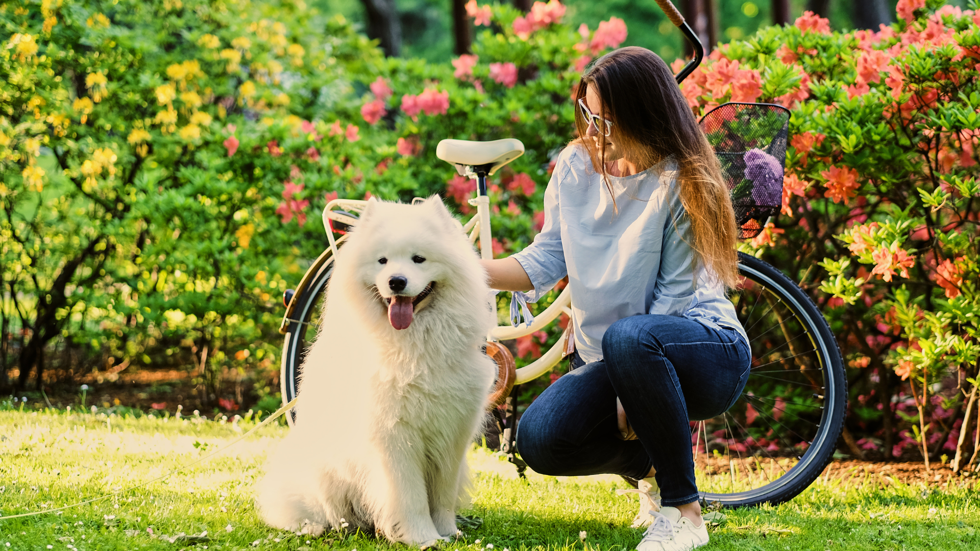 Outdoor Activities for Large Dogs