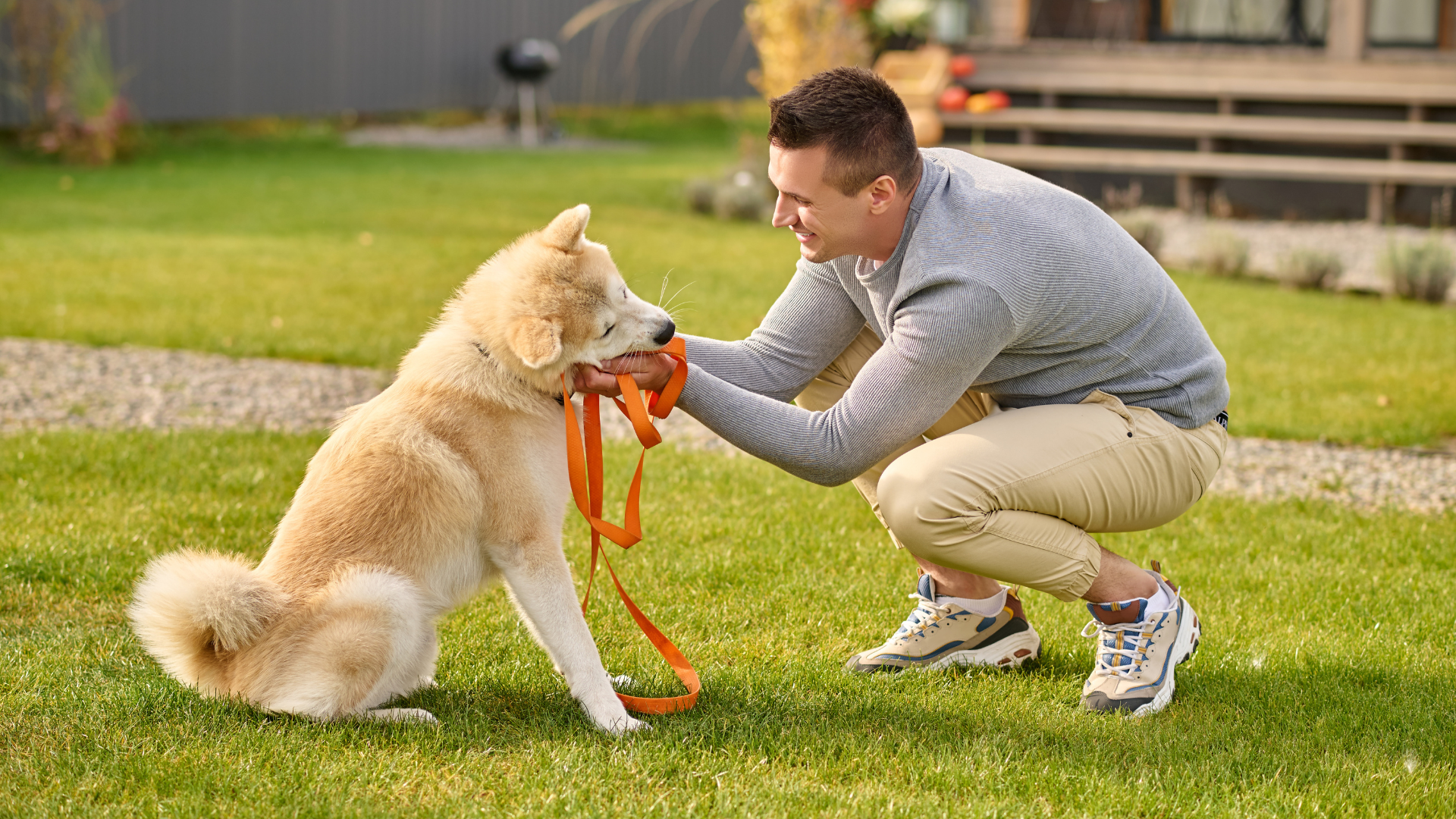 Outdoor Activities for Large Dogs