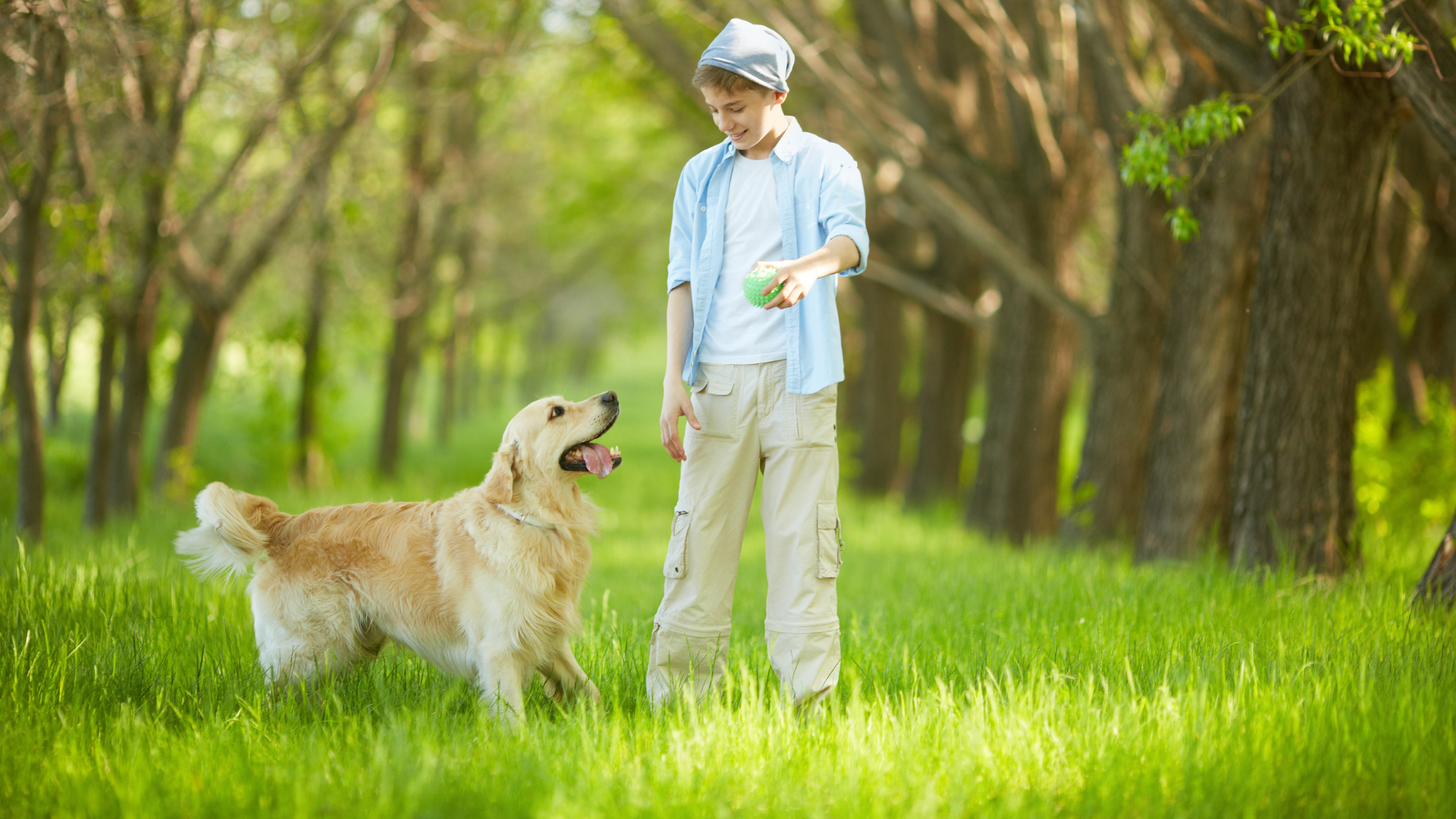 Outdoor Activities for Large Dogs